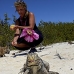 iguana_cuban_jar_v_1720_cub3664.jpg